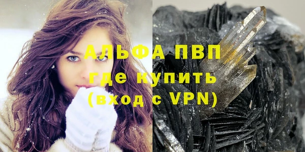 ПСИЛОЦИБИНОВЫЕ ГРИБЫ Белокуриха