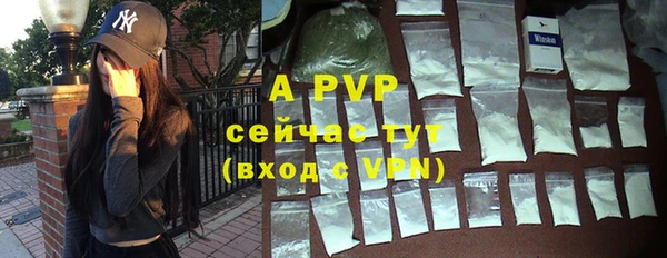 ПСИЛОЦИБИНОВЫЕ ГРИБЫ Белокуриха