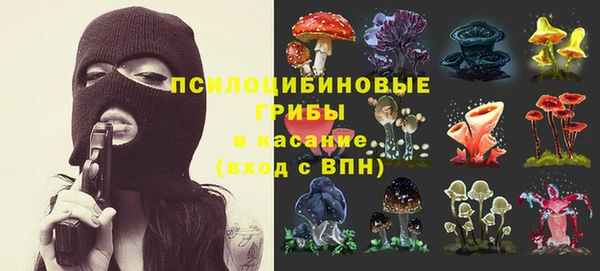 прущая мука Белоозёрский