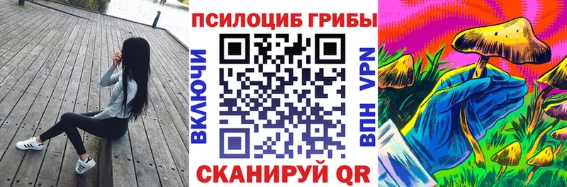 Псилоцибиновые грибы GOLDEN TEACHER  продажа наркотиков  это телеграм  Вытегра 
